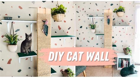 renter friendly cat shelves|Creative Cat Shelves for Renter